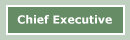 chief executive